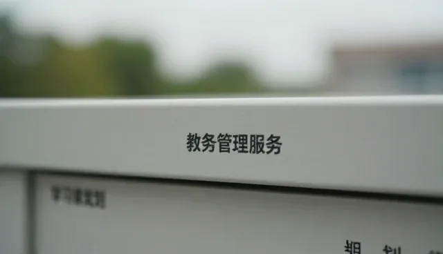 学习规划中的考试辅导策略与执行要点